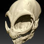 container_grey-alien-skull-3d-printing-328540.jpg